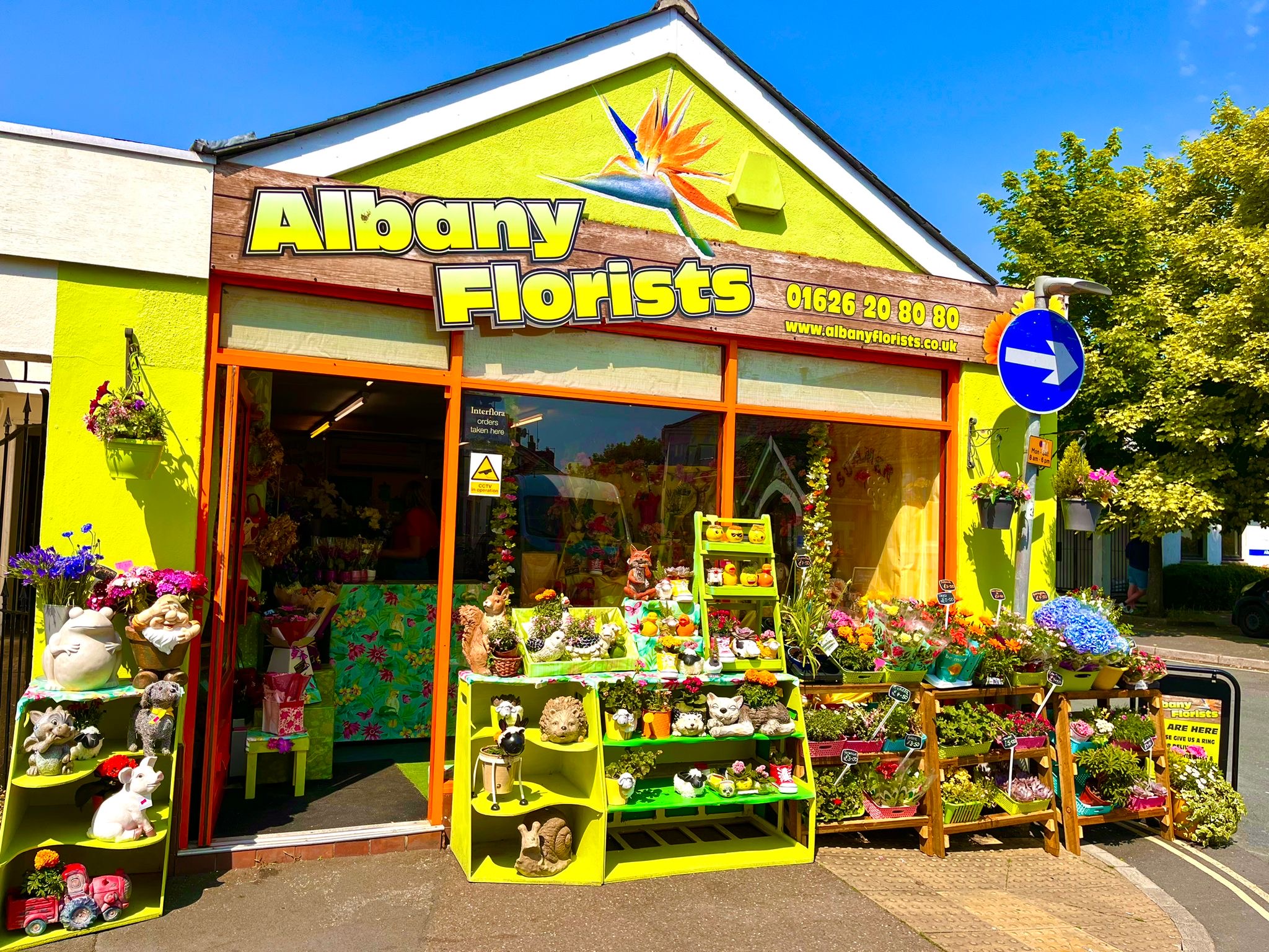 Albany florist